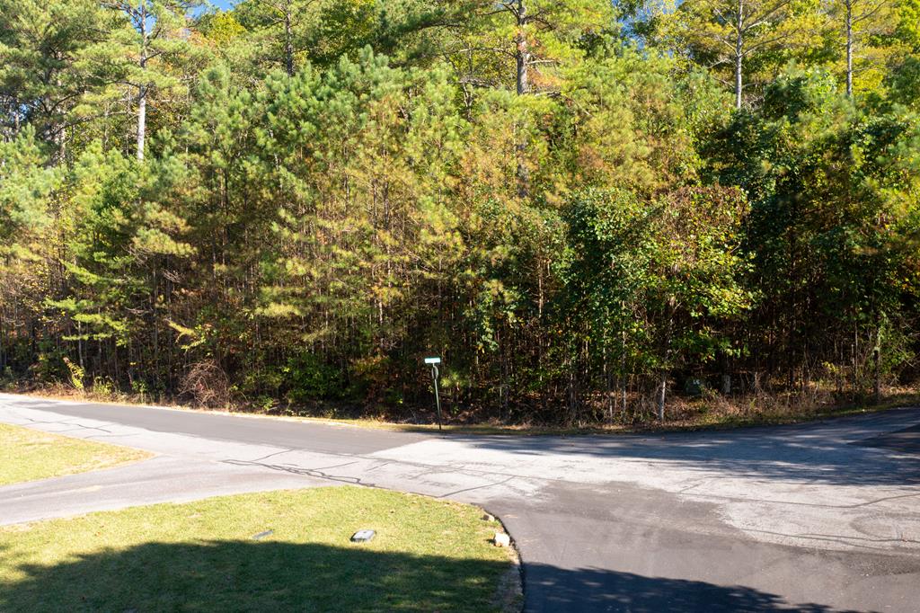 409702 Young Harris Land