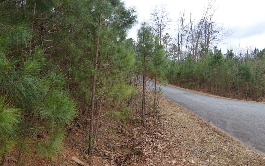 409702 Young Harris Land