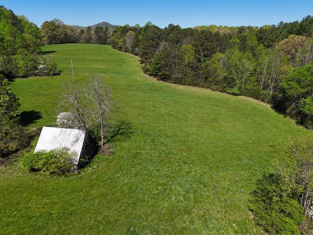 409703 Blairsville Land