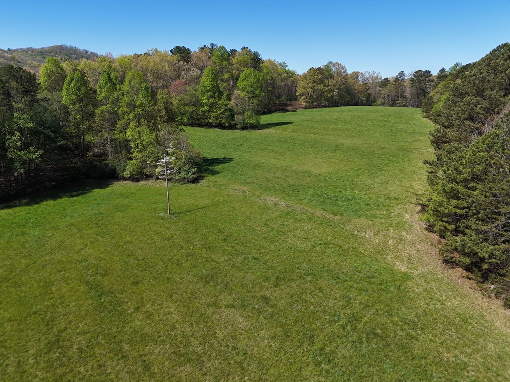 409703 Blairsville Land