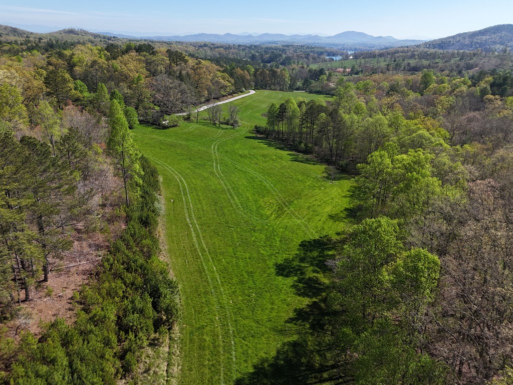 409703 Blairsville Land