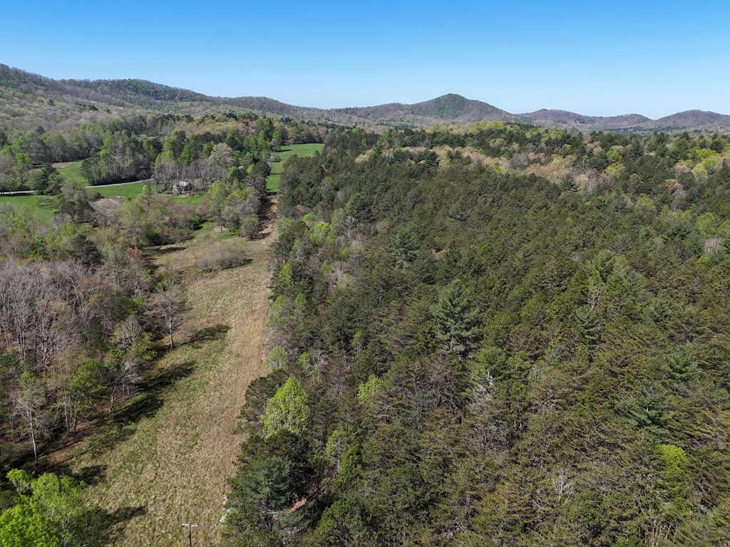 409703 Blairsville Land