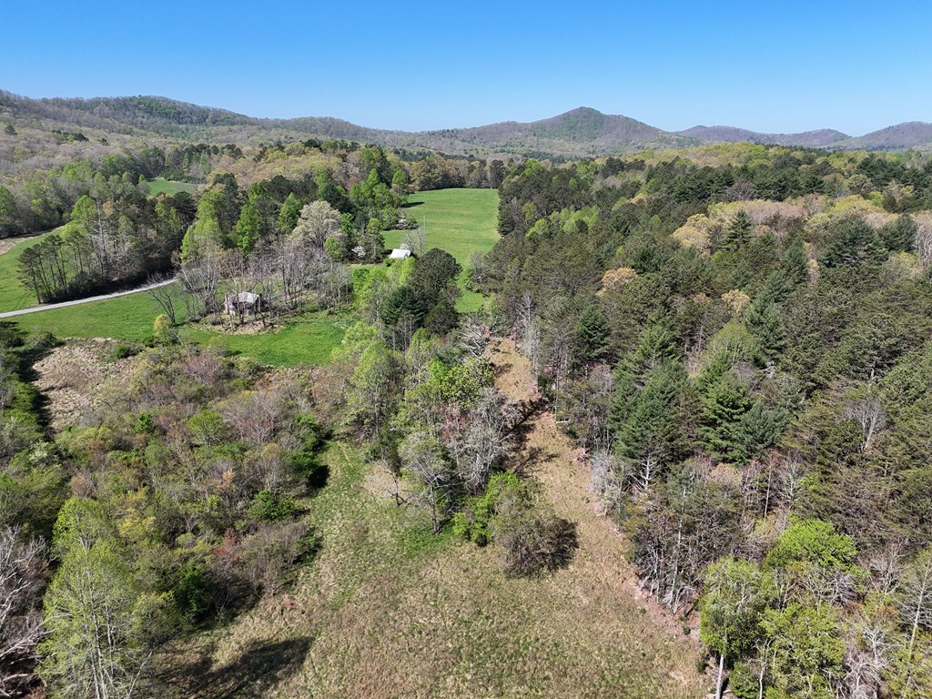 409703 Blairsville Land