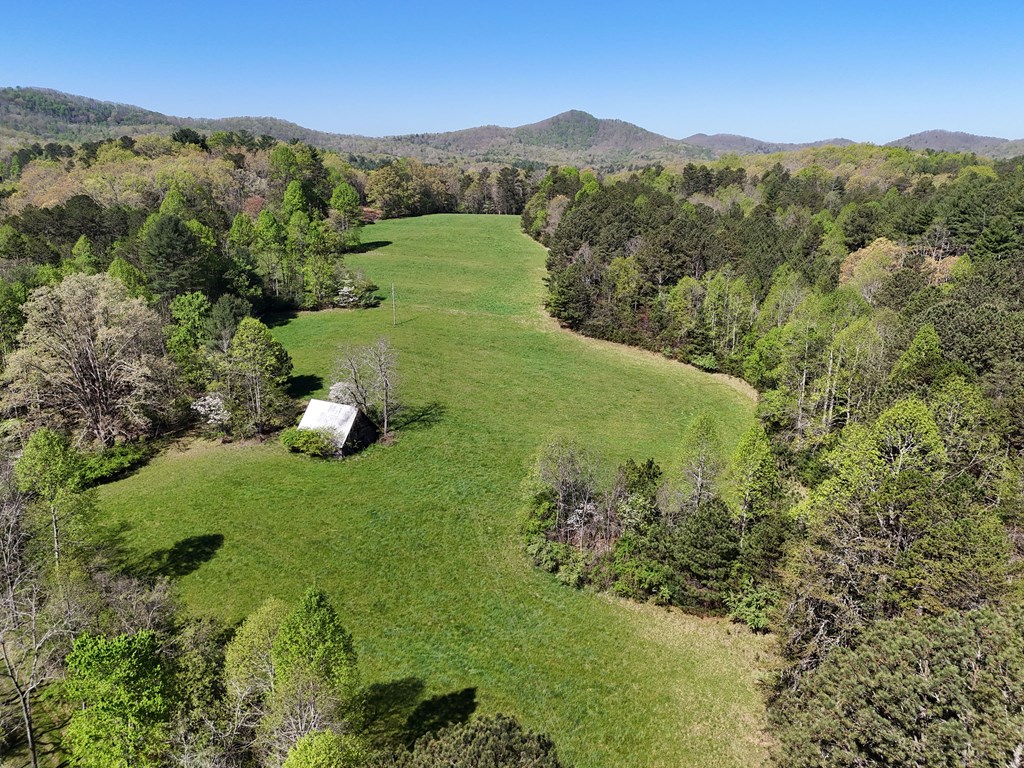 409703 Blairsville Land