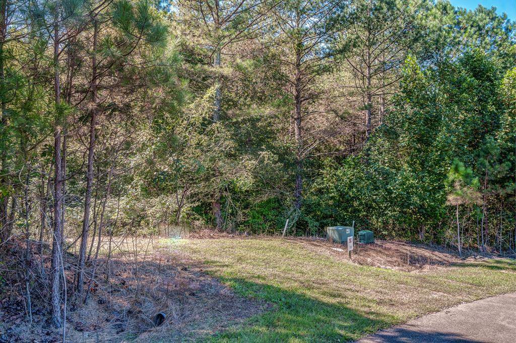 409730 Ellijay Land