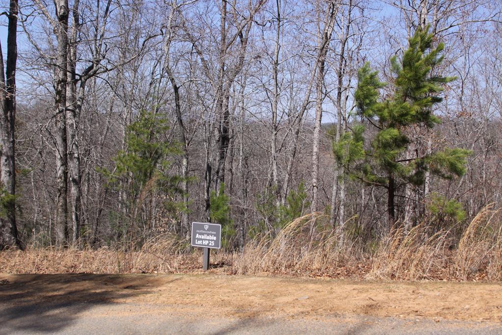 409736 Mineral Bluff Land