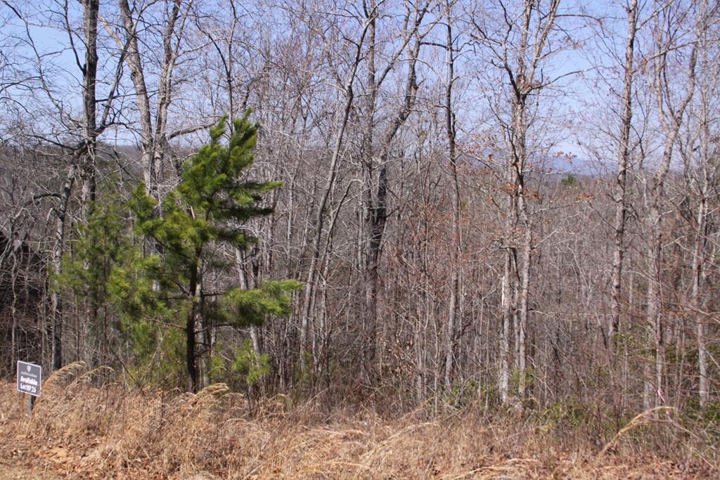 409736 Mineral Bluff Land