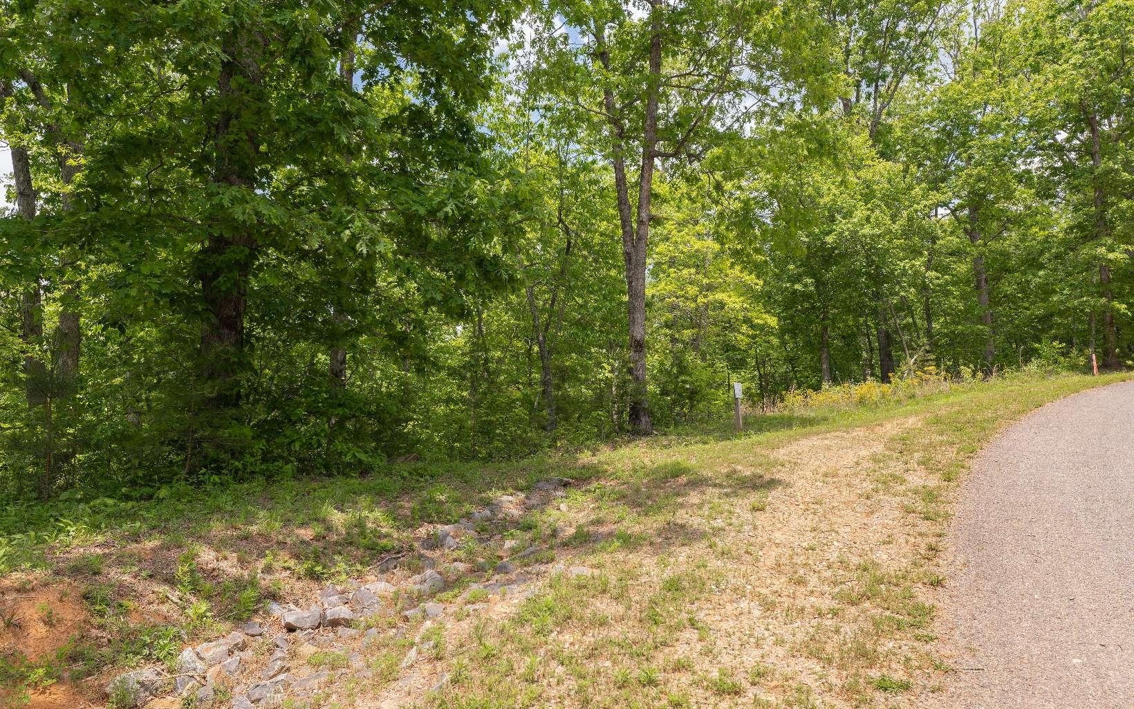 409736 Mineral Bluff Land