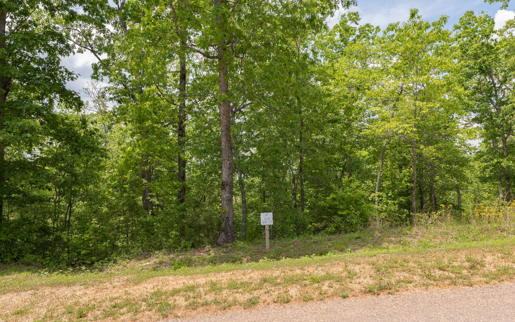 409736 Mineral Bluff Land