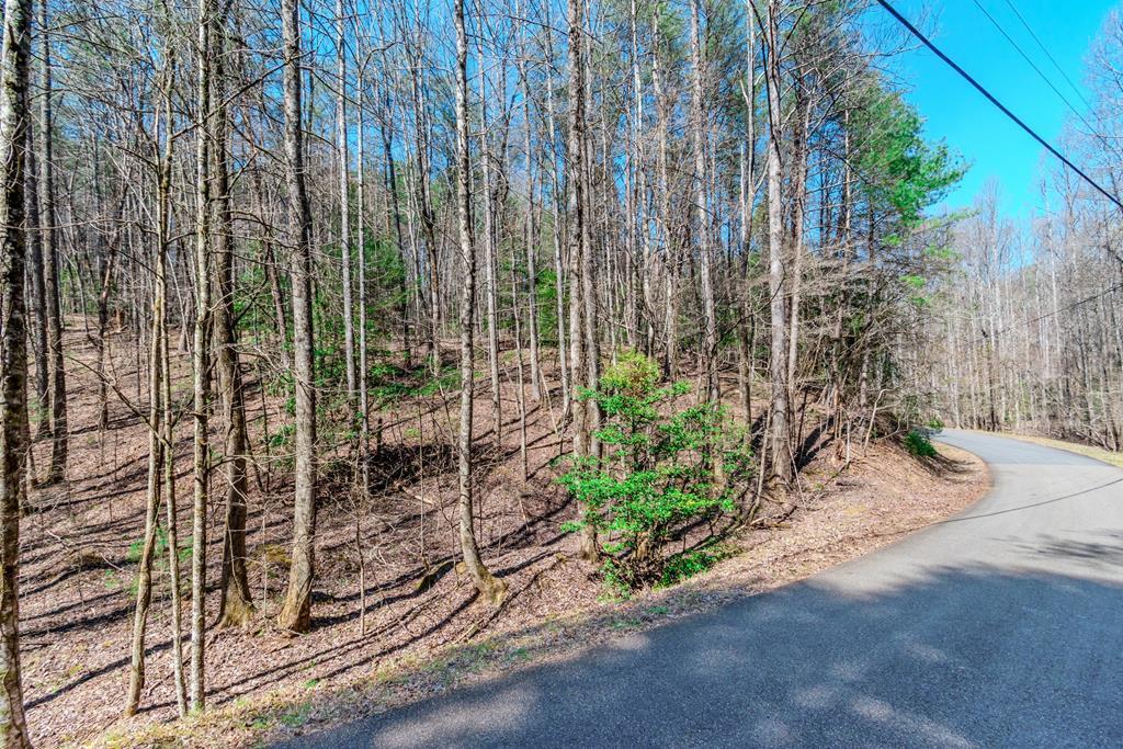 409741 Ellijay Land