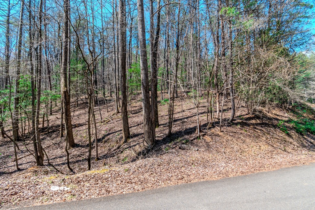 409741 Ellijay Land