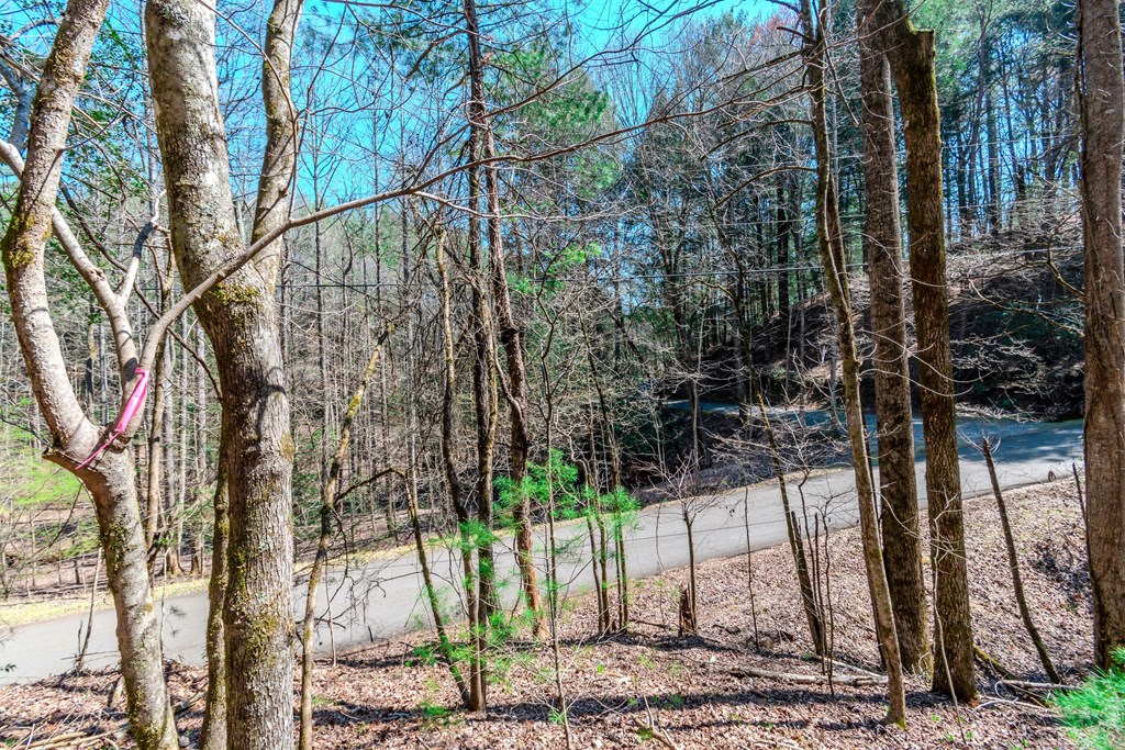 409741 Ellijay Land