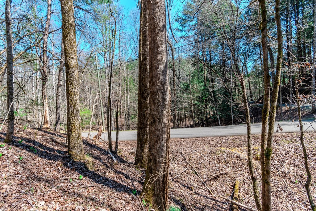 409741 Ellijay Land