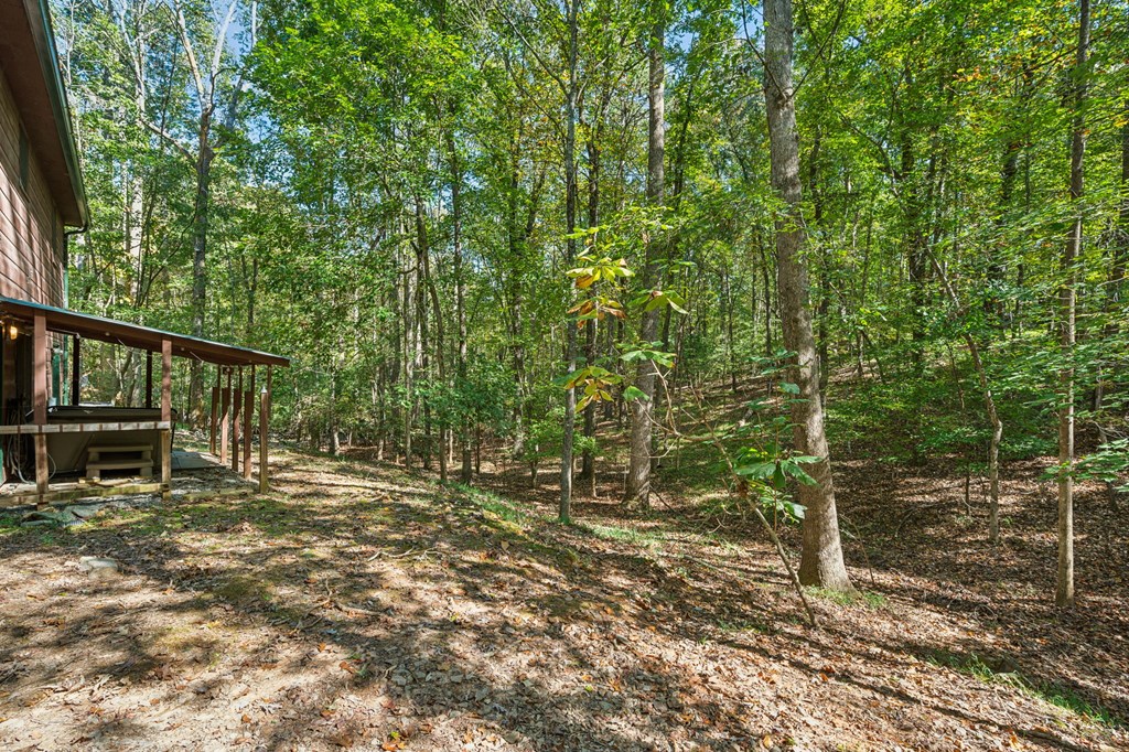 409756 Ellijay Residential