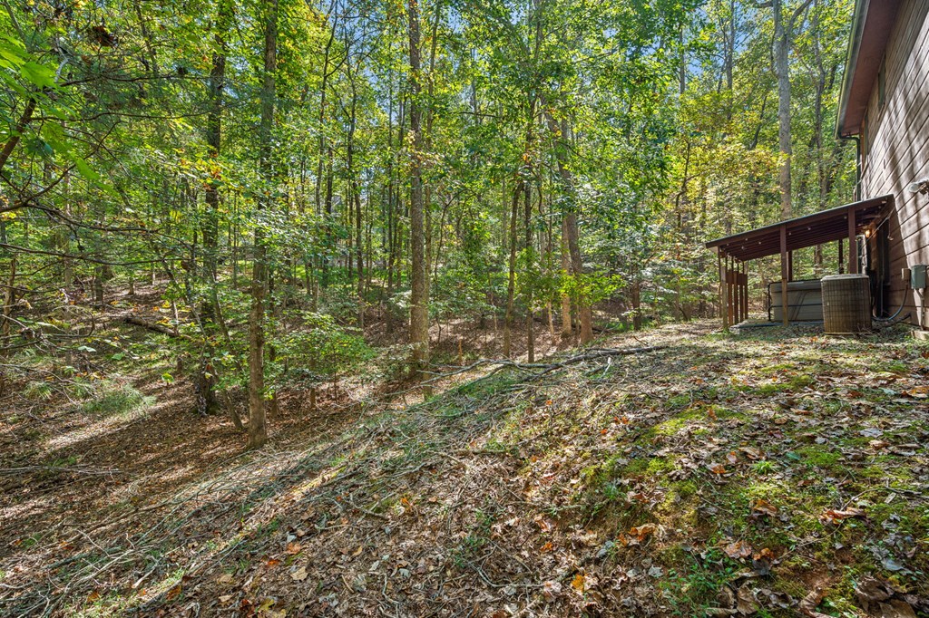 409756 Ellijay Residential