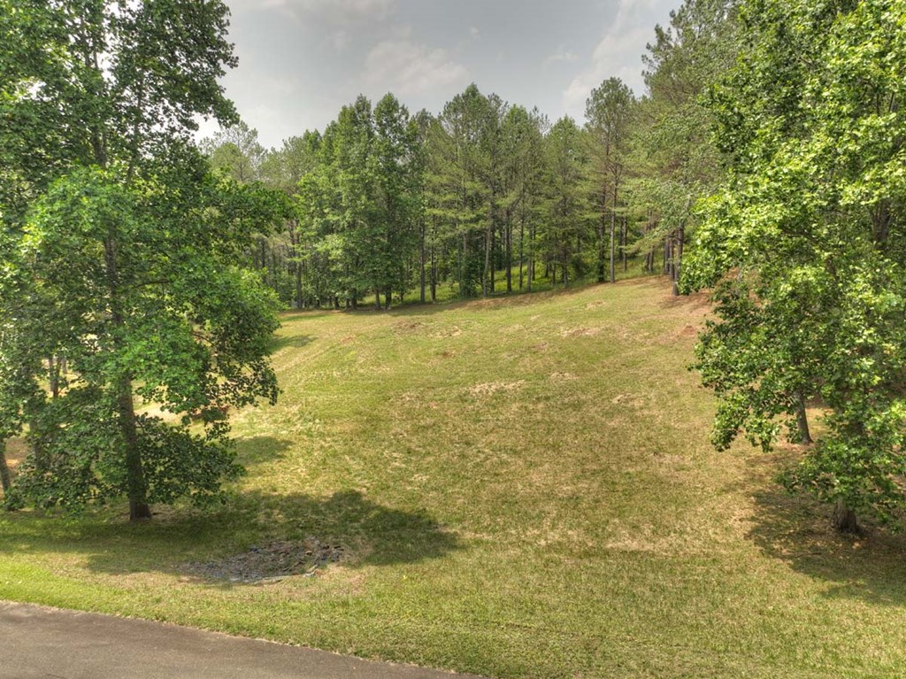 409769 Ellijay Land