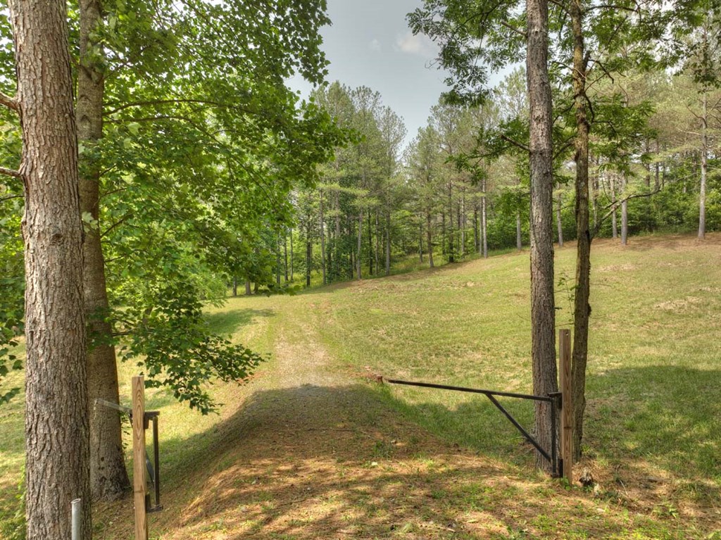 409769 Ellijay Land