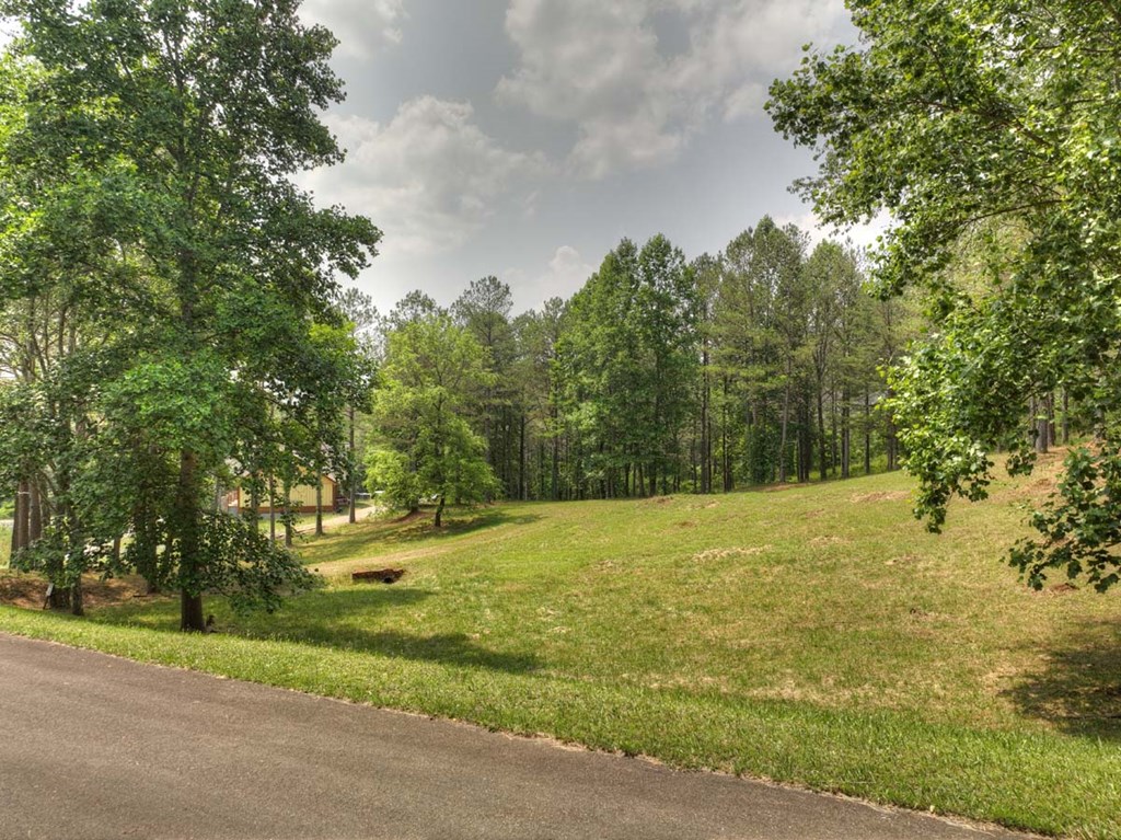 409769 Ellijay Land