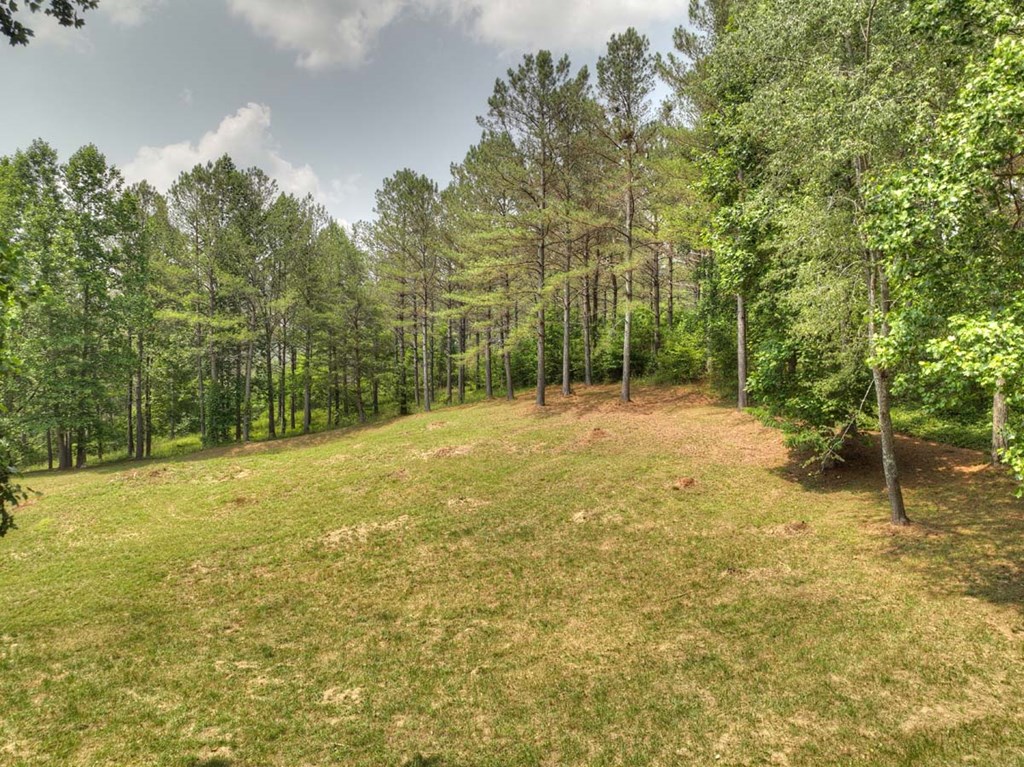 409769 Ellijay Land