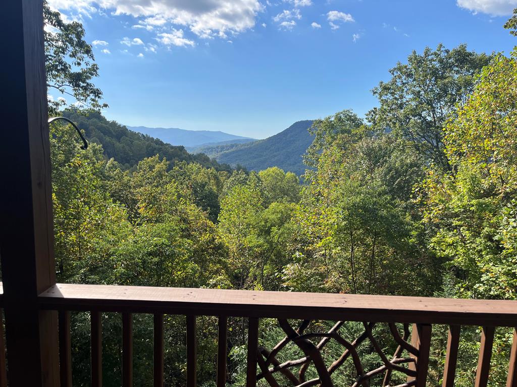 409773 Hiawassee Residential