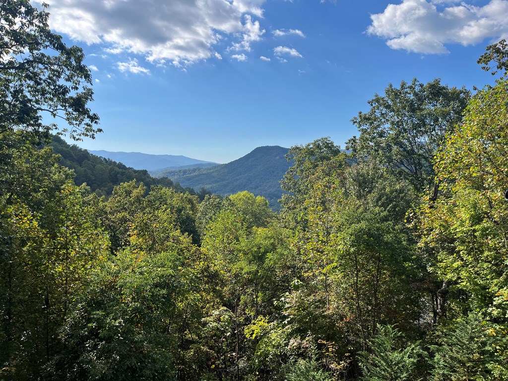 409773 Hiawassee Residential