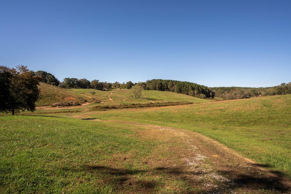 409781 Morganton Residential