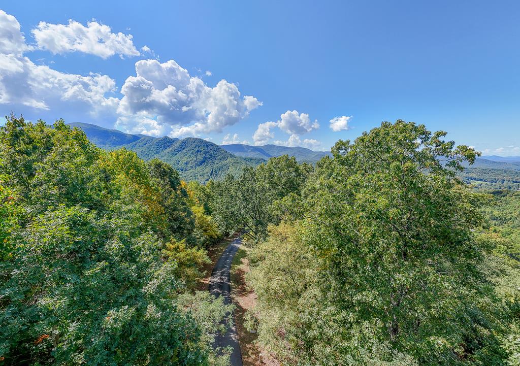 409786 Hayesville 