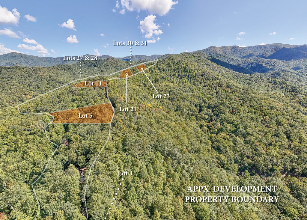 409786 Hayesville Land