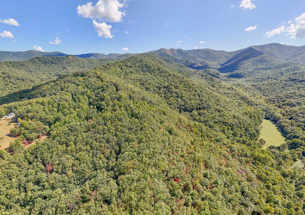 409786 Hayesville Land