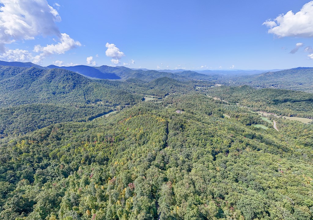 409786 Hayesville Land