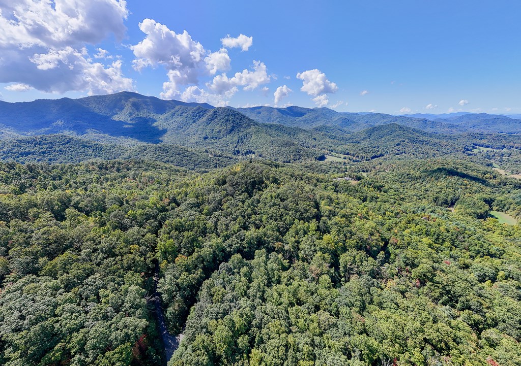 409786 Hayesville Land