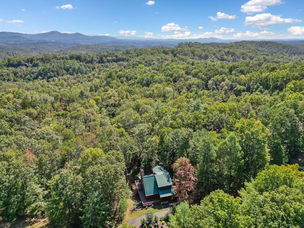 409804 Ellijay Residential