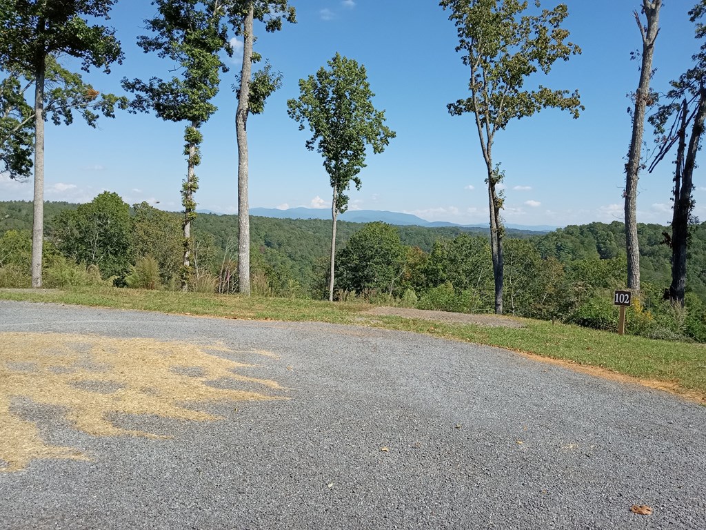 409810 Ellijay Land