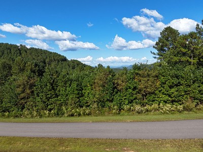 409834 Blairsville Land