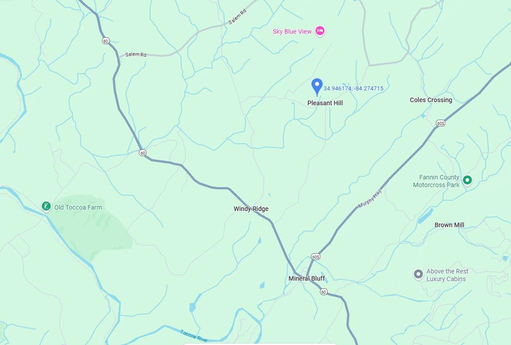 409838 Mineral Bluff
 Land