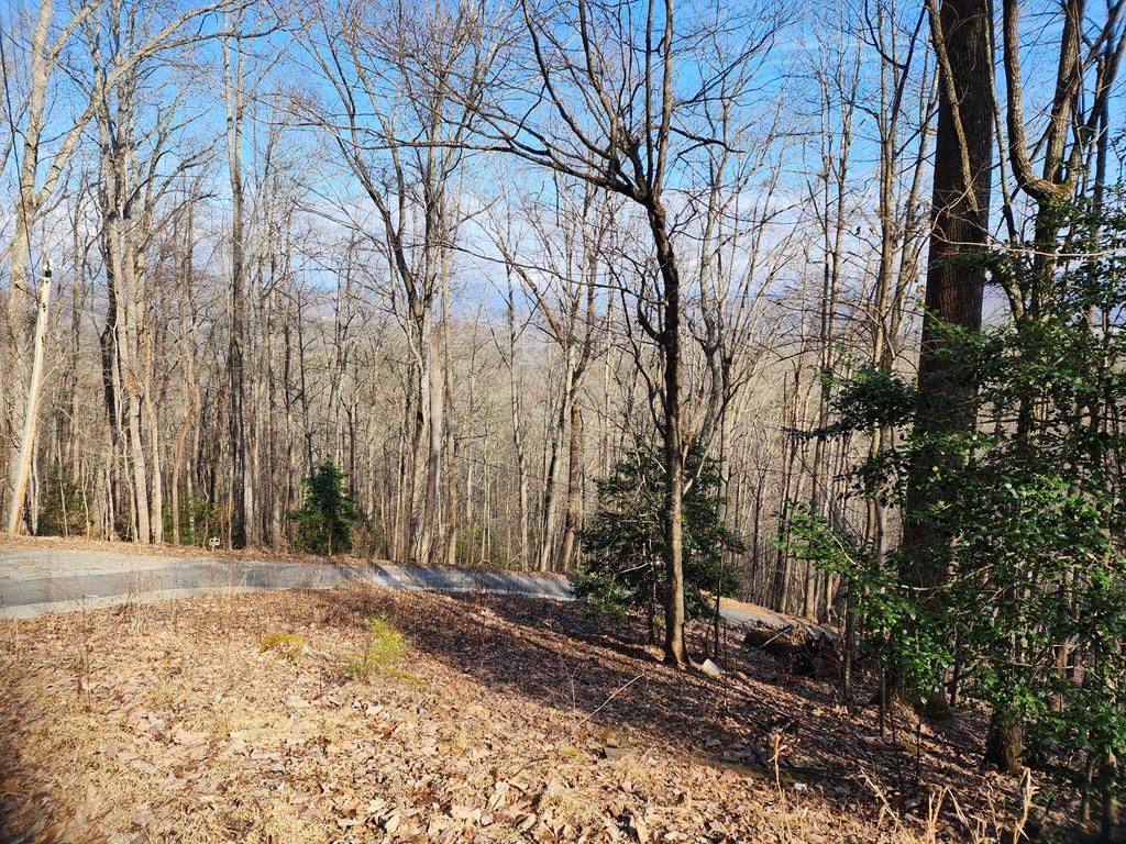 409843 Young Harris Land