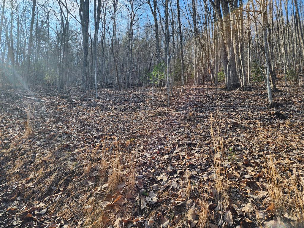 409843 Young Harris Land