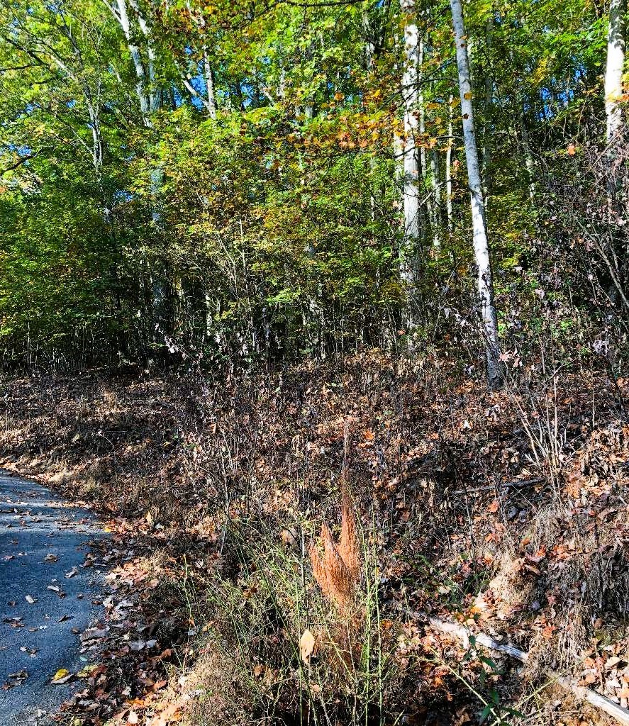 409843 Young Harris Land