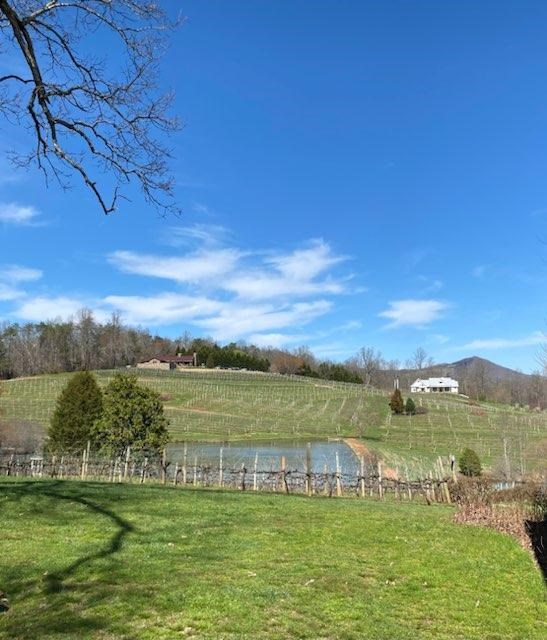 409843 Young Harris Land