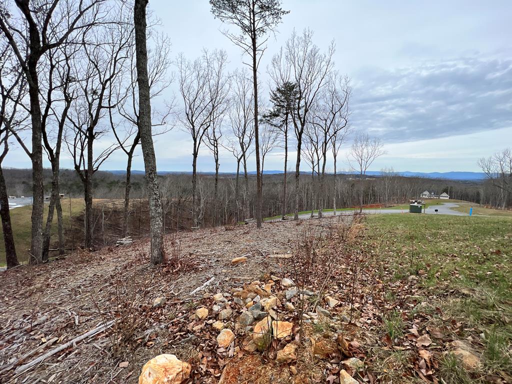 409844 Ellijay Land