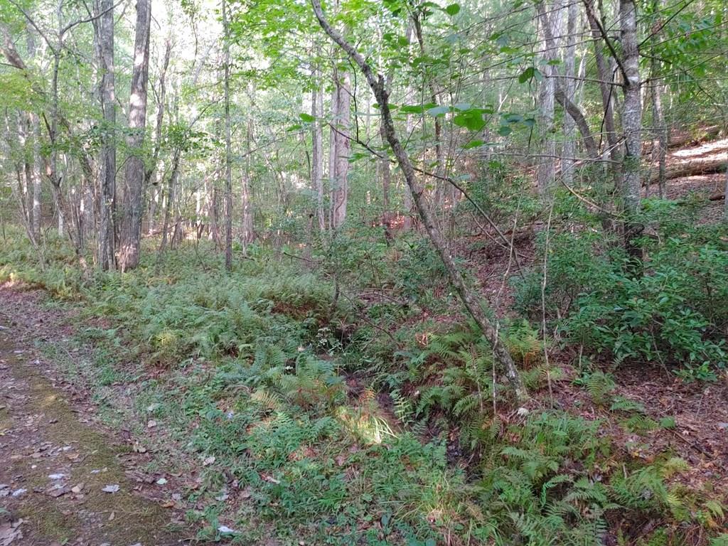 409849  Land