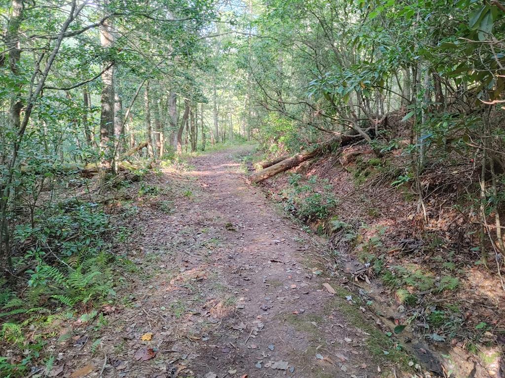 409849 Mineral Bluff Land