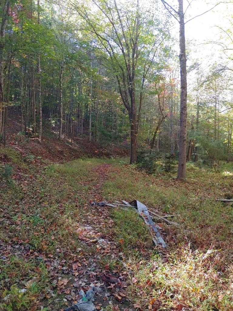 409849 Mineral Bluff Land