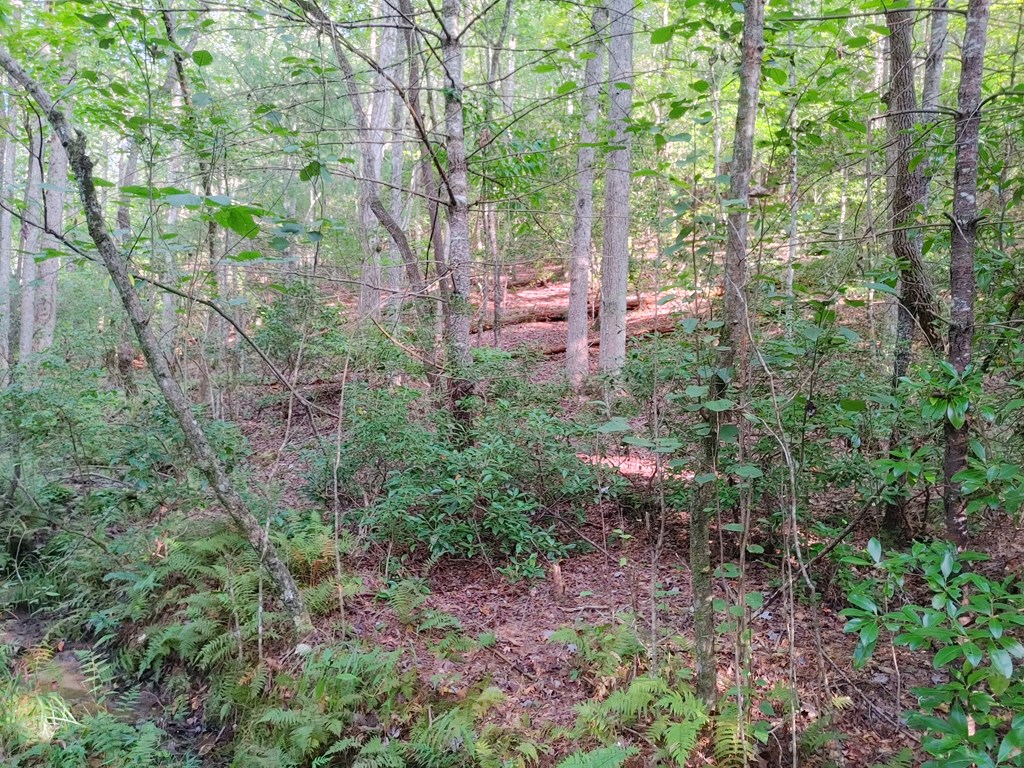 409849 Mineral Bluff Land
