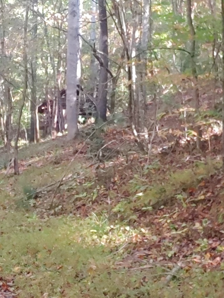 409849 Mineral Bluff Land