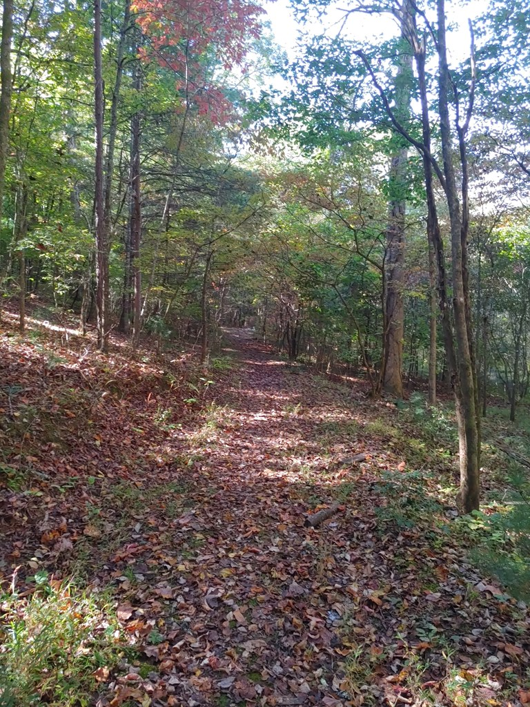 409849 Mineral Bluff Land