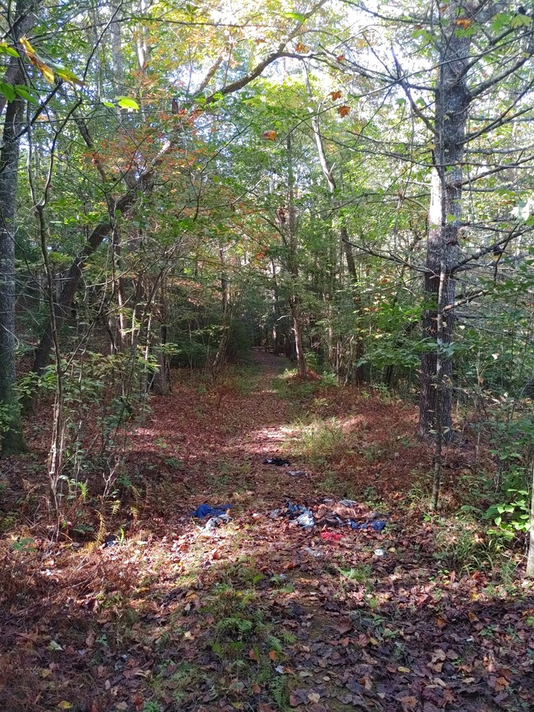 409849 Mineral Bluff Land
