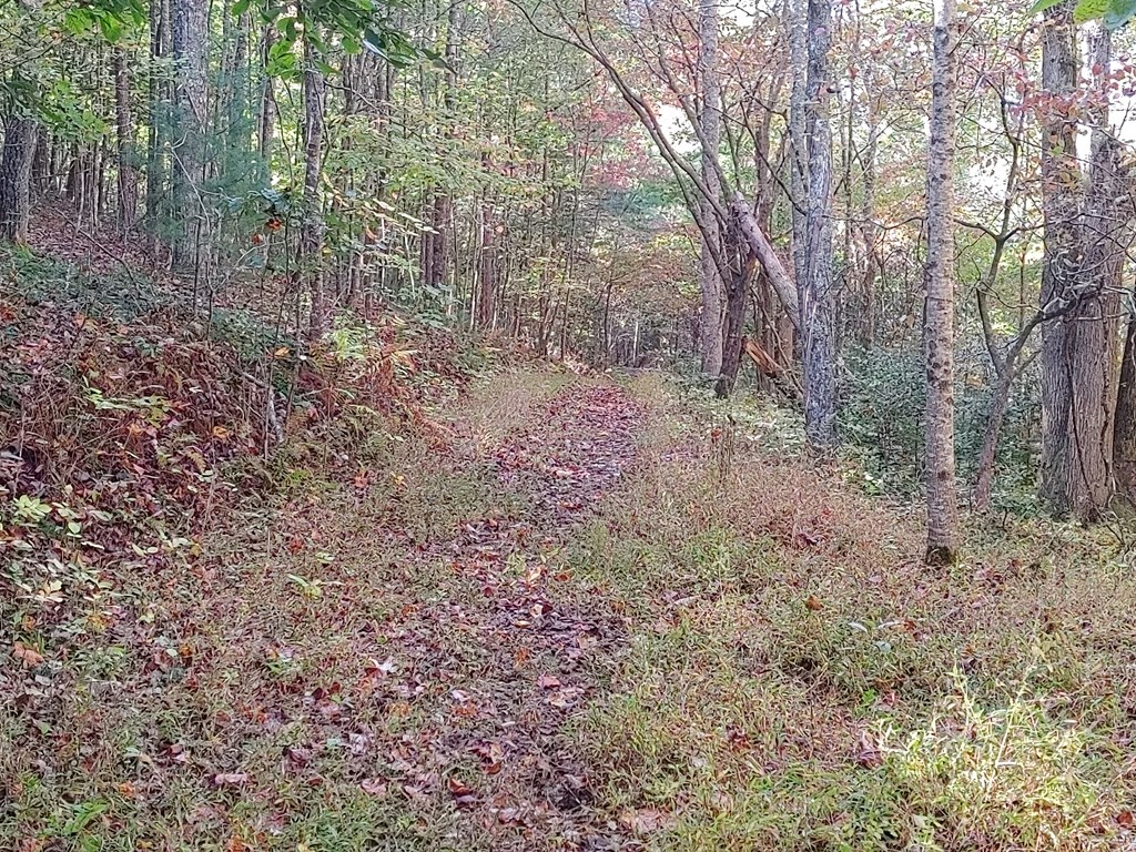 409849 Mineral Bluff Land