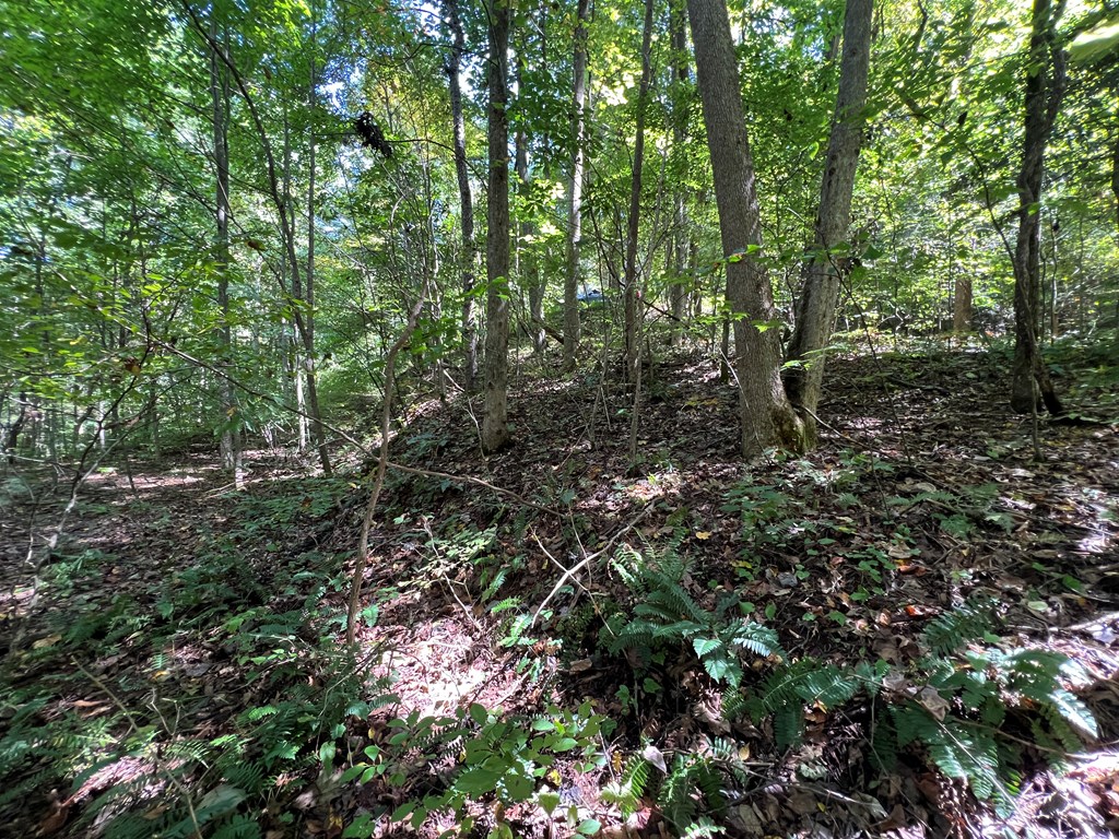 409862 Hayesville Land