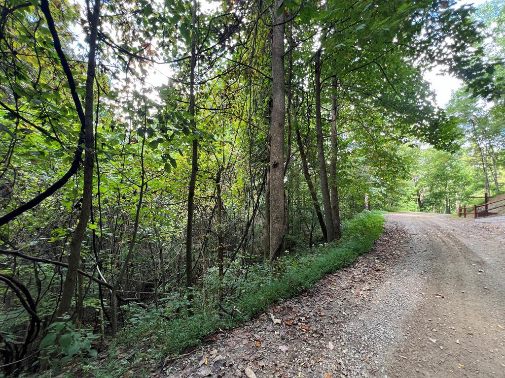 409862 Hayesville Land